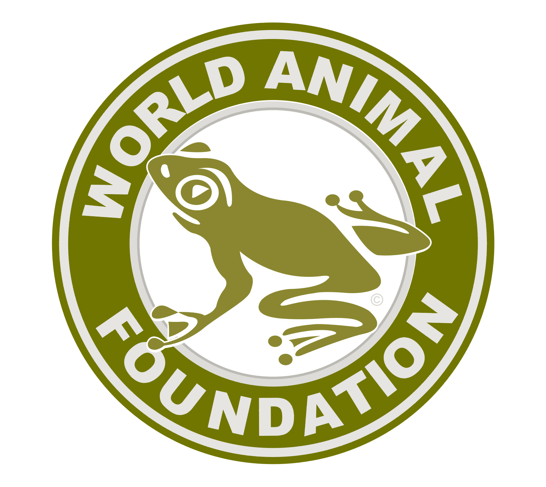 animal foundation