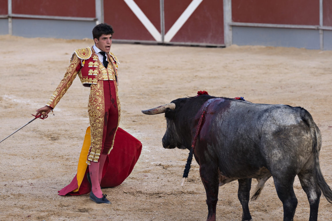 The Truth About Bullfighting Farm Animals Facts & News