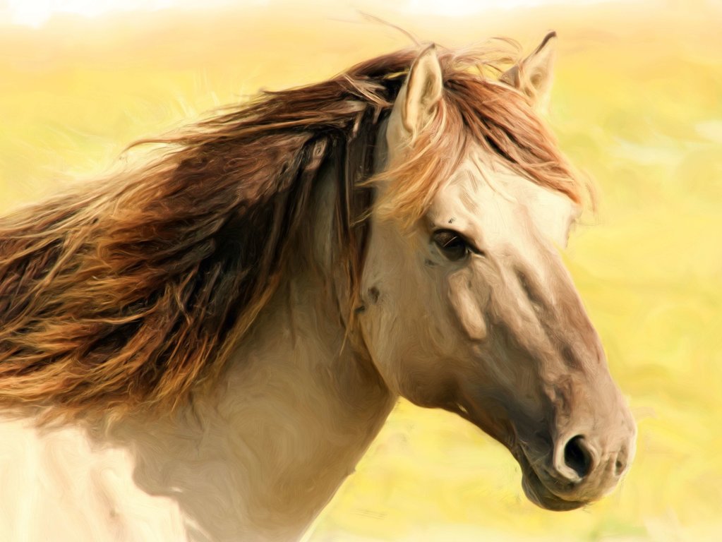 Horses Farm Animals Facts News By World Animal Foundation